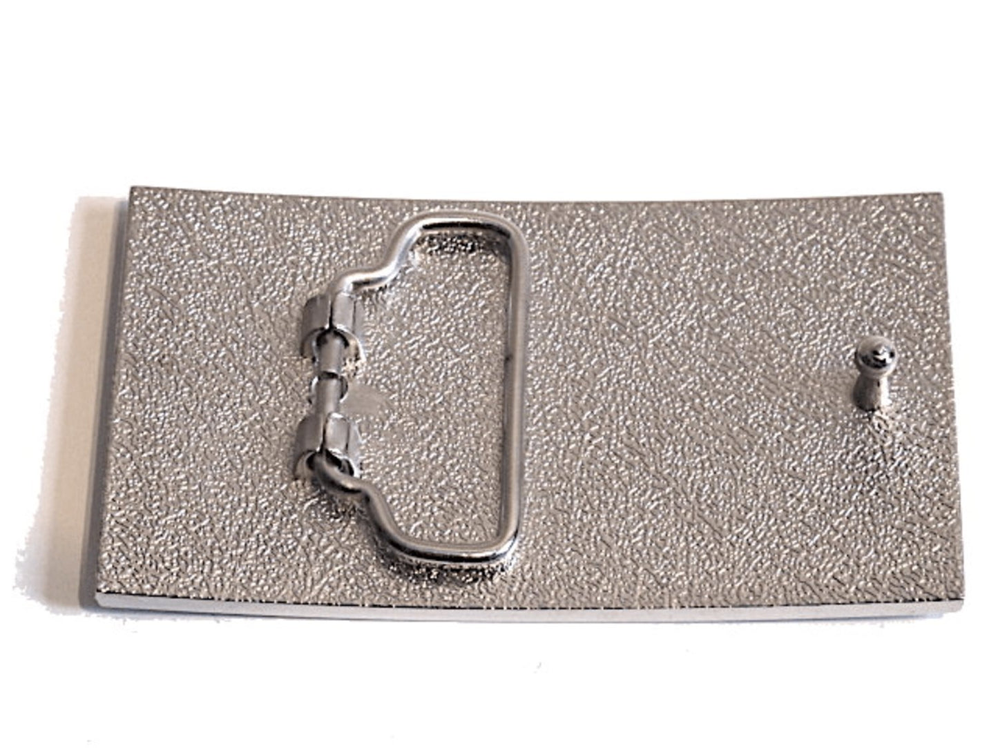 Bältesspänne - Punks not dead