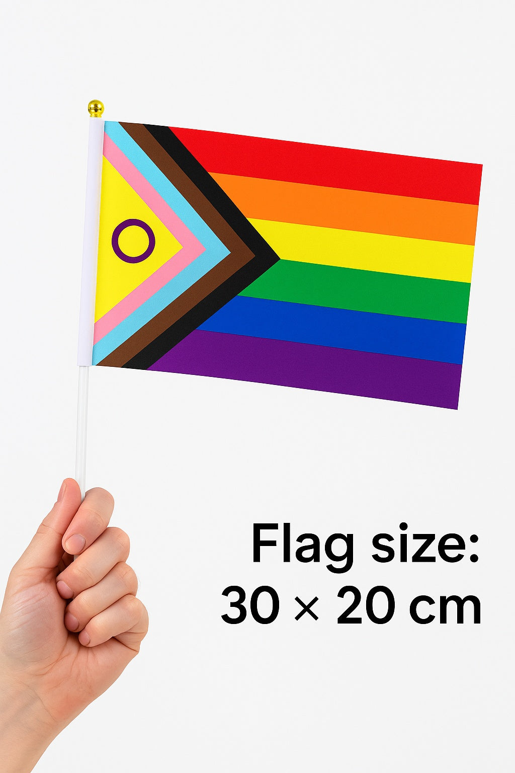 Progress Pride handflagga – 5-pack