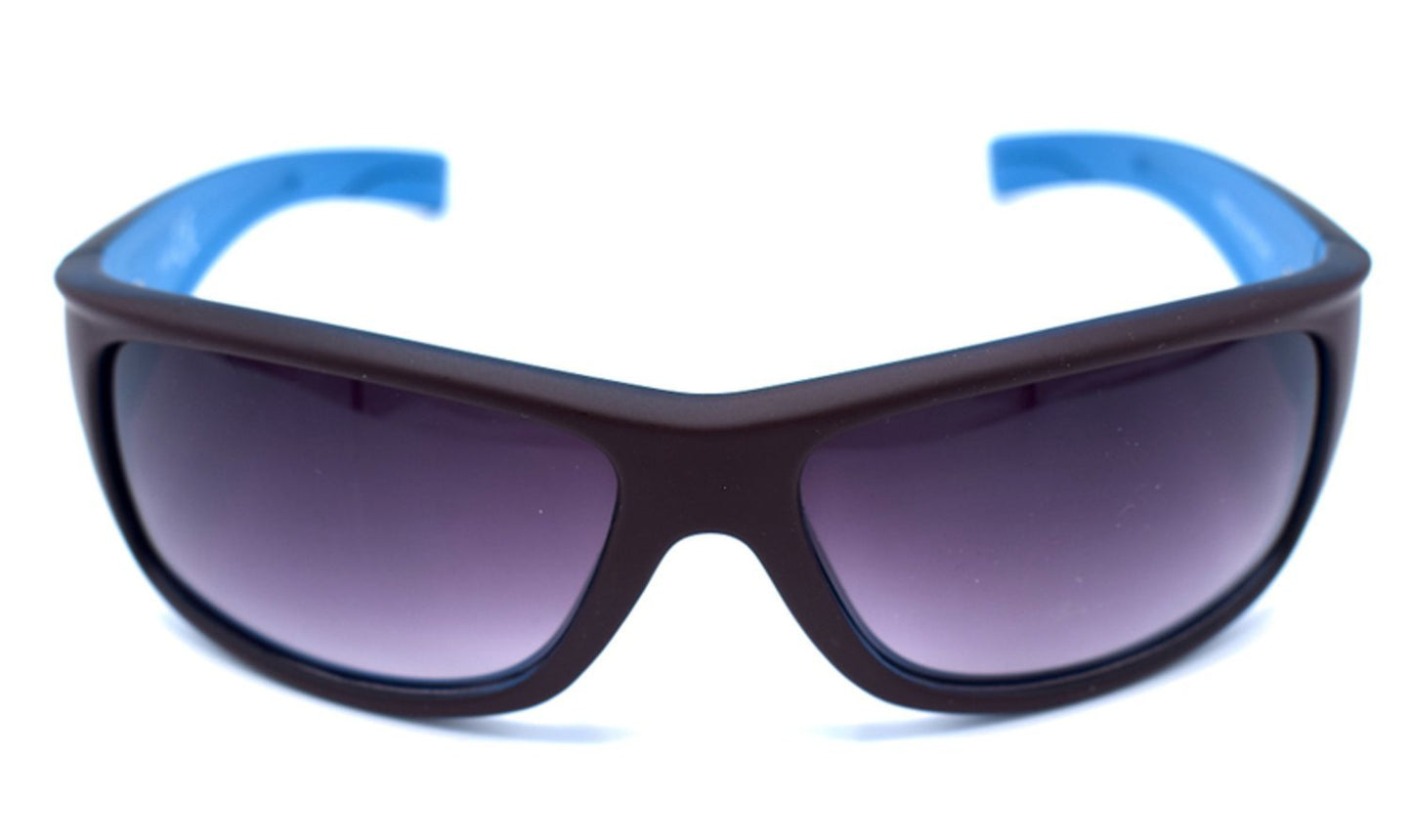 Brown/blue Sport sunglasses