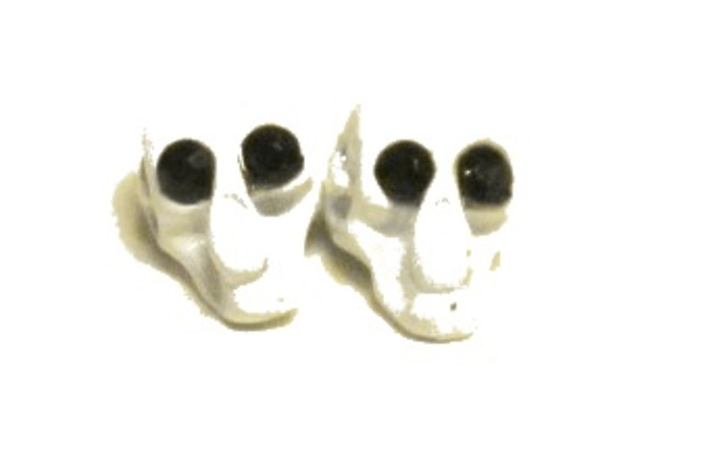 SKULL EARRINGS