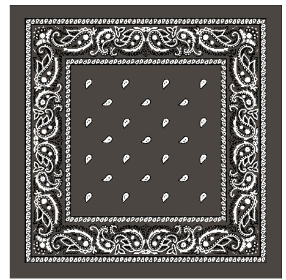 Paisley Bandana flertal färger