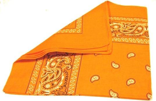 Paisley Bandana flertal färger