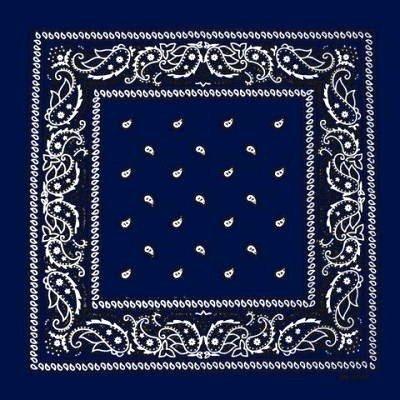 Paisley Bandana flertal färger –  produktbild – Hiprock