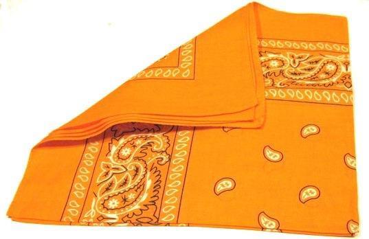 Paisley Bandana flertal färger –  produktbild – Hiprock