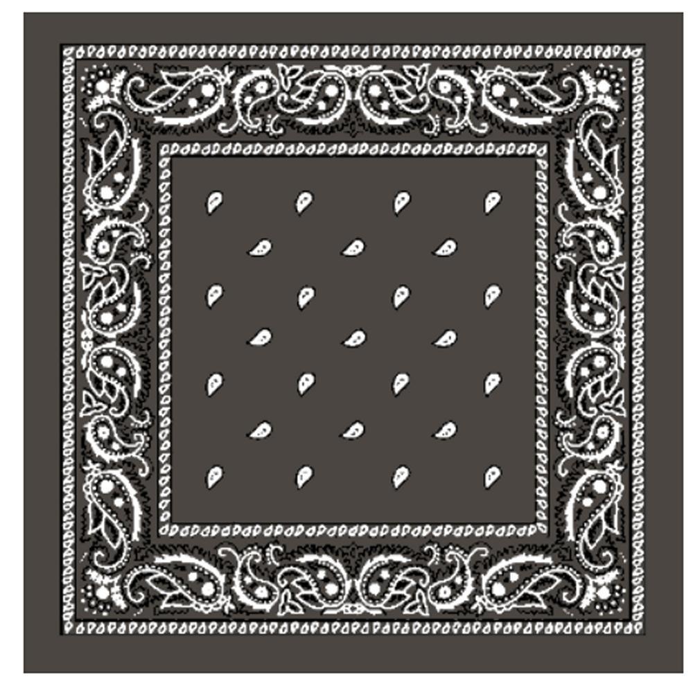 Paisley Bandana flertal färger –  produktbild – Hiprock