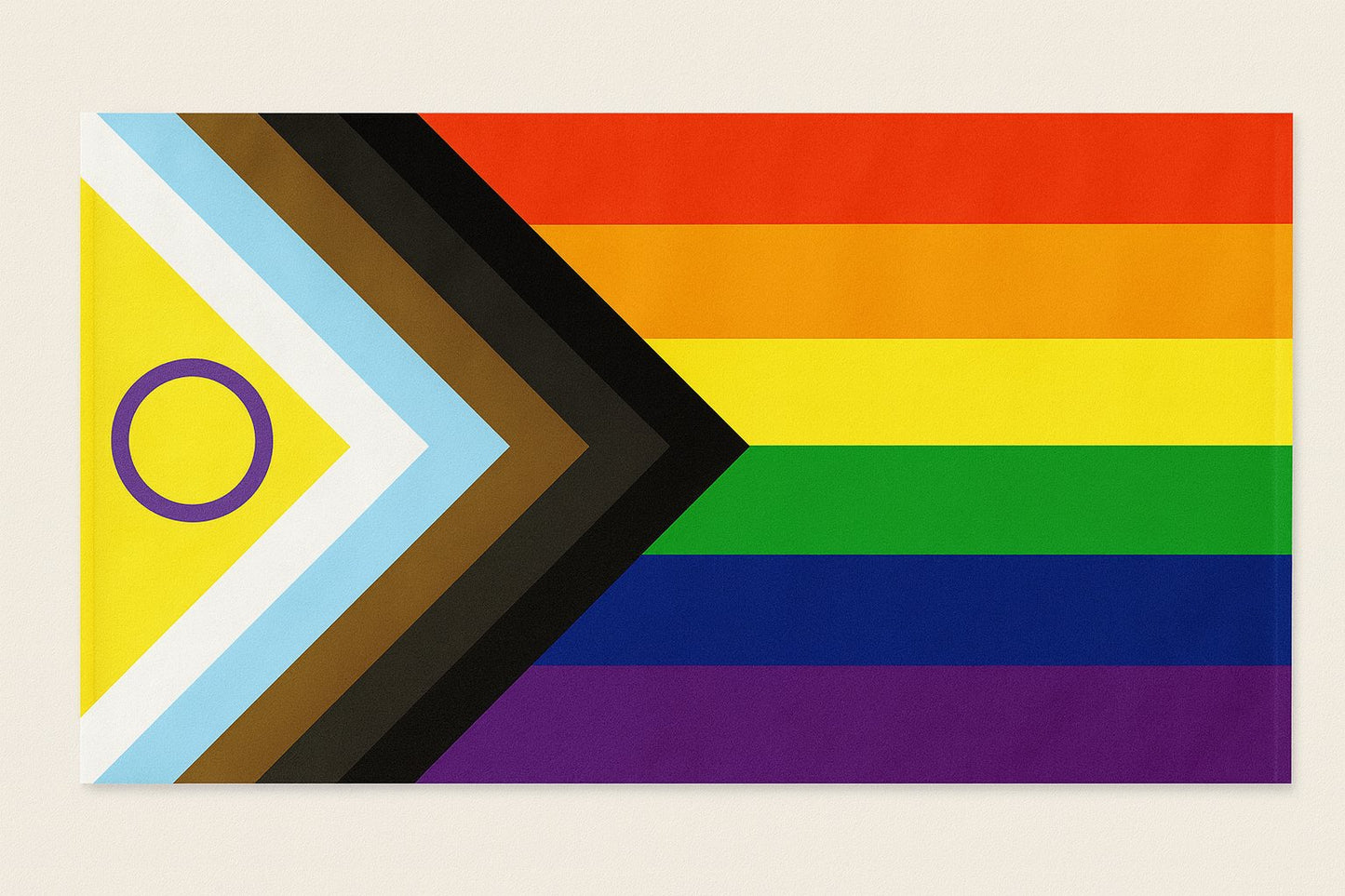 Progress Pride Flagg - 150 * 90 cm