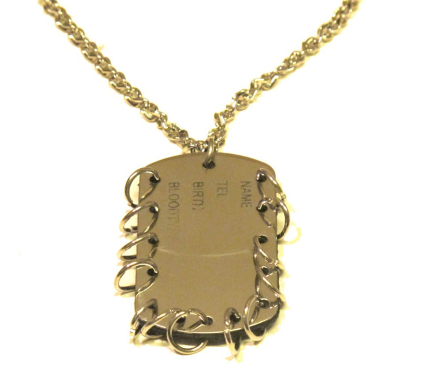 Silver colored necklace Dog Tag