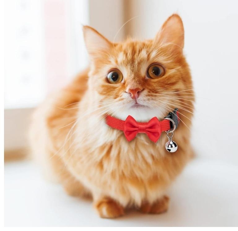 Söpö kissan kaulus, jossa rusetti ja kello - säädettävä ja mukava